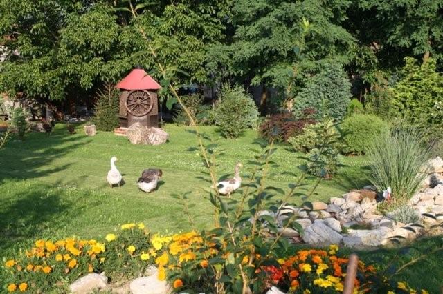 Seoski Turiziam Larva Trenkovo Ngoại thất bức ảnh